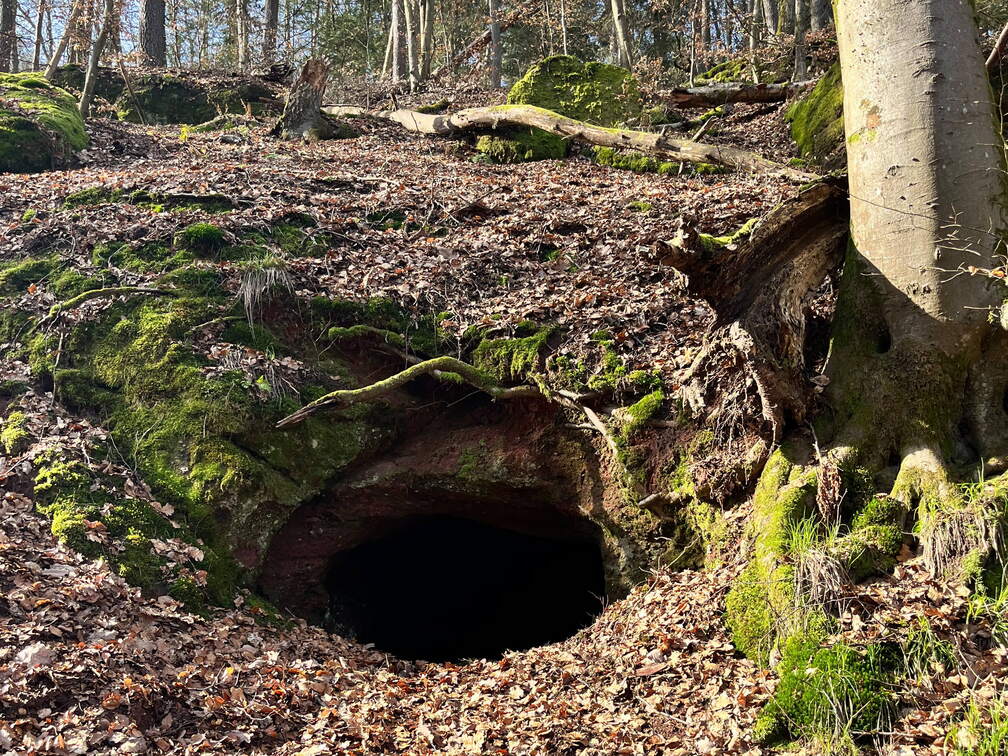 24-02-28 13-43-45 8779